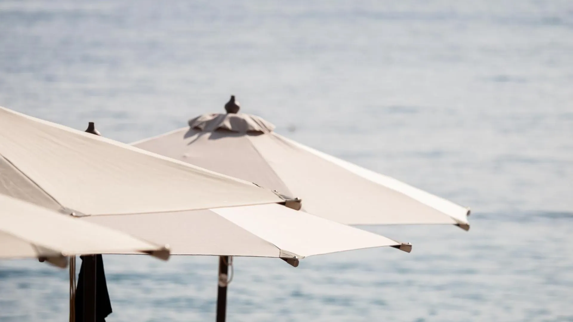 Nia Boutique Hotel By Rapo'S Resort Himare